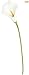 Leegoal Calla Lily Bridal Wedding Bouquet Real Touch PU Flowers (White, Set of 10 Pcs)