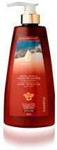 Oriental Argan Oil - Nourishing Shampoo (Normal To Dry Hair) Extra Mineral 26.4 Fl Oz