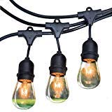 RZSAIDA Light Outdoor String Lights 48 ft Thick Bulb with Hanging Sockets Weatherproof Commercial Grade Bistro Backyard Market Patio Cafe Porch Garden Deck Gazebo Pergola Balcony Exterior Strand
