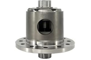 WELLBUILT AXLE AND DRIVELINE Rear Gear Style Posi-Traction Limited Slip Differential Compatible with 2011-2022 Ram 1500 and Dodge 9.25" Rear End - For: 68053299AF, 917A730, 68266878AA, YDGC9.25ZF-31-1, 68050784AI