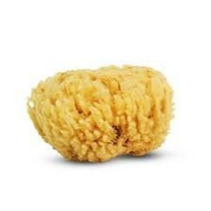 Cartel 5640 Natural Sea Sponge
