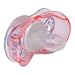 Razbaby Keep-It-Kleen Pacifier - Betty Butterfly - 2 Count , 0-36 Months