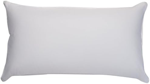 Ogallala Single Shell 75/25-fill Goose Feather Xfirm Pillow, Queen 20-Inch by 30-Inch