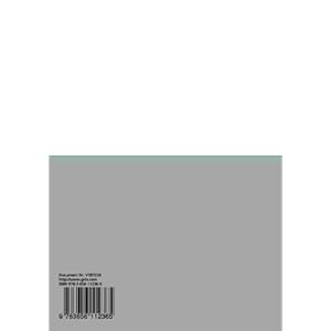Actitudes, expectativas y valoración paisajística de la precordillera Andina  por la población de Santiago de Chile (Spanish Edition)