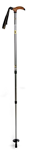 Mountainsmith Nomad Cane Trekking Staff
