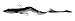 Okuma Fishing Tackle Savage Gear Real Eel Prerigged Slow Sinking Lure, Black Green Pearl, 12-Inch - 2 3/4-Ounce