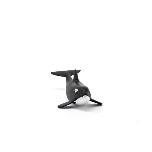 schleich 14836 Orka Junges, für Kinder ab 3+ Jahren, WILD LIFE - Spielfigur, Black – Bild 4