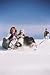 Trans American Swim and Snow Adventure Tube, 32-Inch Small