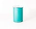 Airscape Coffee Storage Canister (1 lb Dry Beans) - Patented Airtight Lid Pushes Air Out to Preserve Food Freshness - Two Way Valve Releases CO2 - Stainless Steel Food Container- Turquoise
