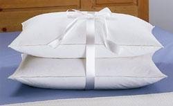 Amazon Com Sweet Jojo Designs Standard Queen Size White Feather
