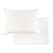 Tadpoles Toddler Pillow with Case, White
