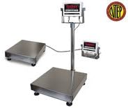Triner Scale TBS-1616 Bench Scale, 250 x 0.05 lb Capacity, 16" x 16" platform, TS-700 MS Indicator