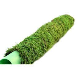 Green Paradise Coco Pole - Moss Stick for Indoor,House & Money Plant Support (1 Feet) - 3 Pieces