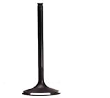 HONDA TRX350 RANCHER 2000-2006 INTAKE VALVE 120653