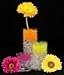 JellyBeadZ Water Bead Gel 8 Ounce -Almost 15,000- Orange- Heat Sealed Bag- Water Pearls Gel Beads- Wedding & Event Centerpieces