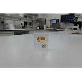 BlobScience Sclerotium &ndash; Physarum Polycephalum/Badhamia &ndash; for Scientific Experiments &ndash; Made in Canada