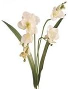 65cm Artificial Freesia - Cream/Green