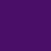 wet n wild MegaLiner Liquid Eyeliner - Electric Purple