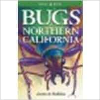 Bugs Of Northern California By John Acorn Lone Pine