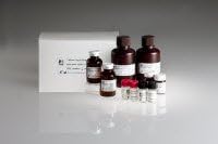 2206664 Magnesium 4x120ml 4/Bt sold as Bottle Pt# R85207 by King Diagnostics Inc