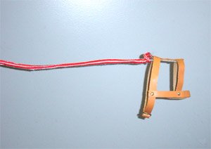 Invisible Dog Leash - Great Gag!