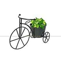 MCI Metal Tricycle Planter Stand, Black, Home Decorative 68x68x21cm, 1 Piece