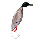 Dokken Miniature Mallard Dead Fowl