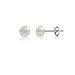 Set of 5 Sizes White Freshwater Pearls Sterling Silver Stud Earrings