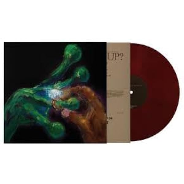Amazon.com: Absolutely: CDs & Vinyl