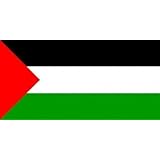 Drapeau Palestine Texte Arabe Signifiant La Palestine Et Le Drapeau Palestinien Vecteur