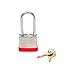 Beisen Hardware (TM) Padlock Box of 12!!! Long Shackle (1 7/8