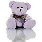 Lavender Chamois Bear- Aromatherapy Stuffed Animal - Hot And Cold Therapy