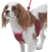 Yuppie Puppy Anti-Pull Mesh Harness Small (11-25 lbs) color Pink, Multiple Sizes