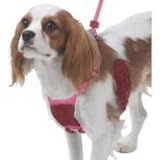 Yuppie Puppy Anti-Pull Mesh Harness Small (11-25 lbs) color Pink, Multiple Sizes