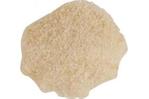 CELLARSCIENCE Lallzyme EX-V (0.6 g)