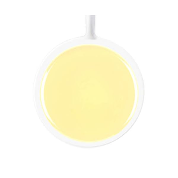 Exotische weiße Teeblätter aus den Blue Mountains (25 Tassen) - Pure White Tea Loose Leaf 50gr – Bild 4