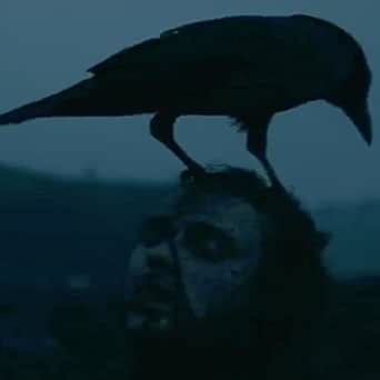 A Gathering of Crows by Snowbvnny on Amazon Music - Amazon.com