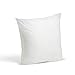 Foamily Premium Hypoallergenic Stuffer Pillow Insert Sham Square Form Polyester, 18" x 18", White primary