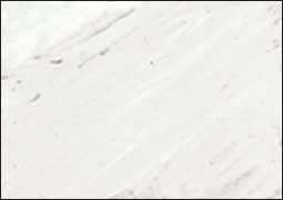 Permalba Original 37-Ml Artist Oil Color, White