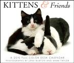 Kittens & Friends Box 2010 Calendar