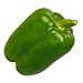 GREEN BELL PEPPERS FRESH FRUIT PRODUCE VEGETABLES BY THE POUND