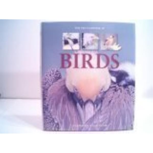 Amazon.com: Jeffrey Whiting's Owls of North America (Whiting's