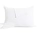 downluxe 2 Pack Queen Zippered Pillow Protectors - Premium Breathable Super Soft Pillow Covers 20