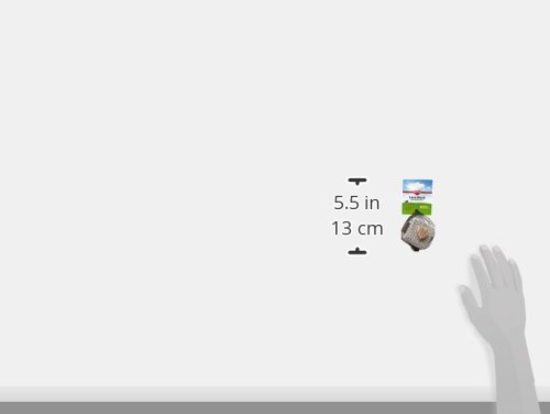 Kaytee Lava Block Chew Toy