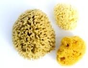 MADALU Natural Sea Sponge Menstrual Pad Size L. The sea Sponge is Very Absorbent and can Also be Used During Intercourse - Image 5
