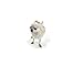 Pawz Dog Boots - Large - Black,12 pack
