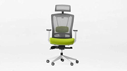 Amazon Ergochair 2 For Sale Off 69