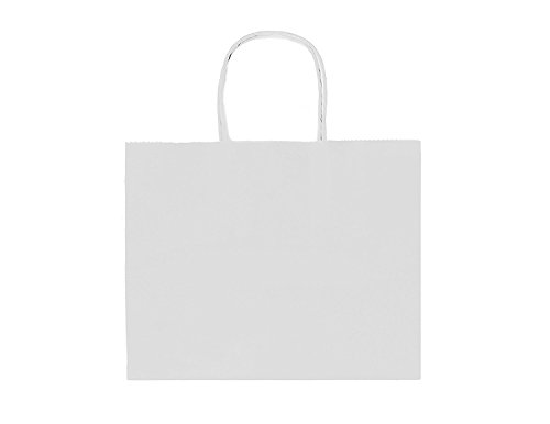GIFT EXPRESSIONS White Kraft Paper Bags, Kraft Gift Bag, Premium Quality Paper (Sturdy & Thicker), Biodegradable, Party Bags, Shopping Bag, Kraft Bags, White Bags (12 CT Wide, White)