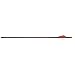 6-pk. Red Hot High Velocity Carbon Arrows