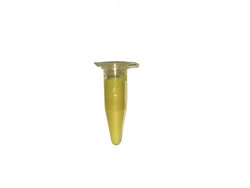 Honey Bee Swarm Lure Professional Grade REUSABLE